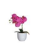 Plante artificielle : Pot phalaenopsis violet H.26 cm